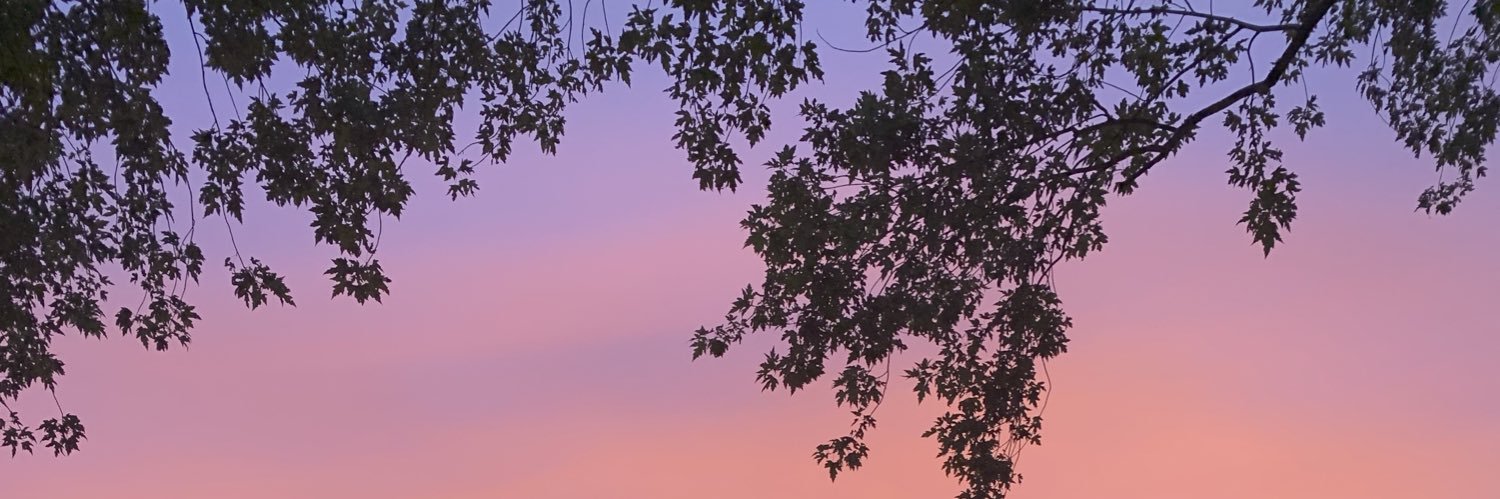 VVeronikaT's profile banner image