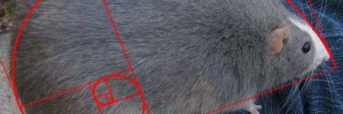 Angeluh_3's profile banner image