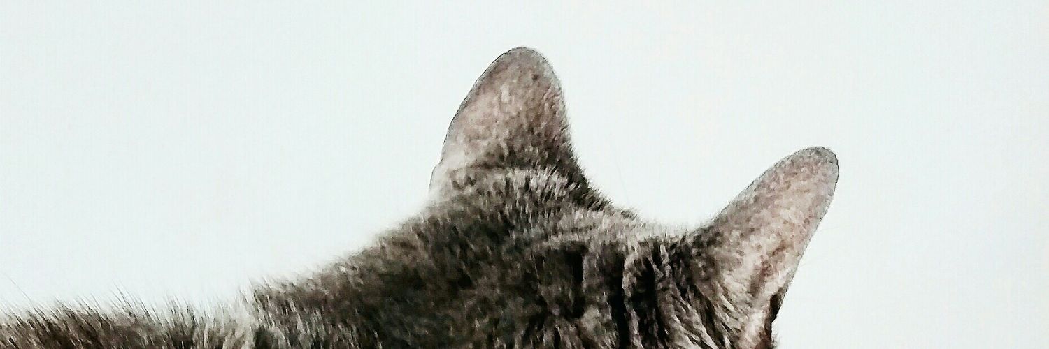 NataliaVerdoza's profile banner image