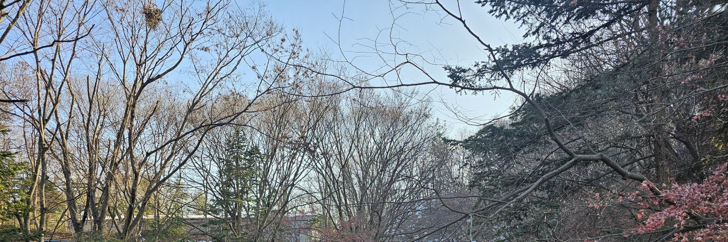 kaka2012019's profile banner image