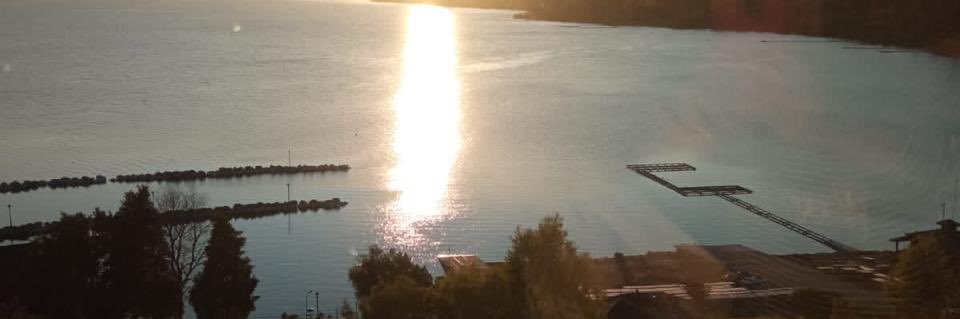 Ximena Silva G. banner