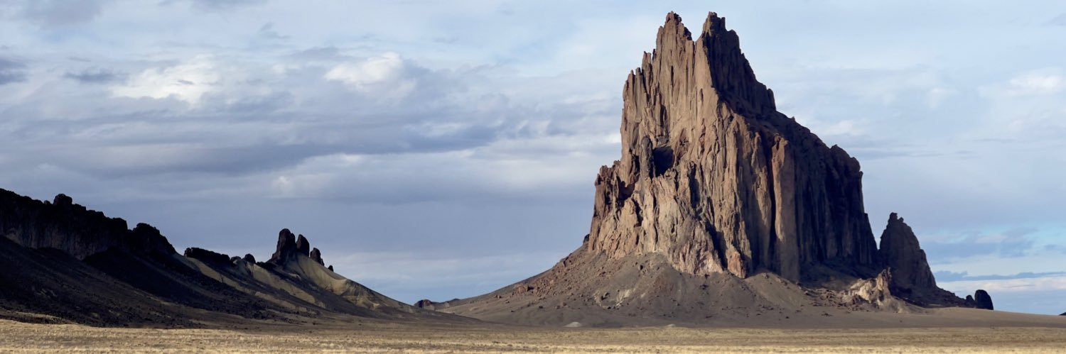 Dalten Nelson banner