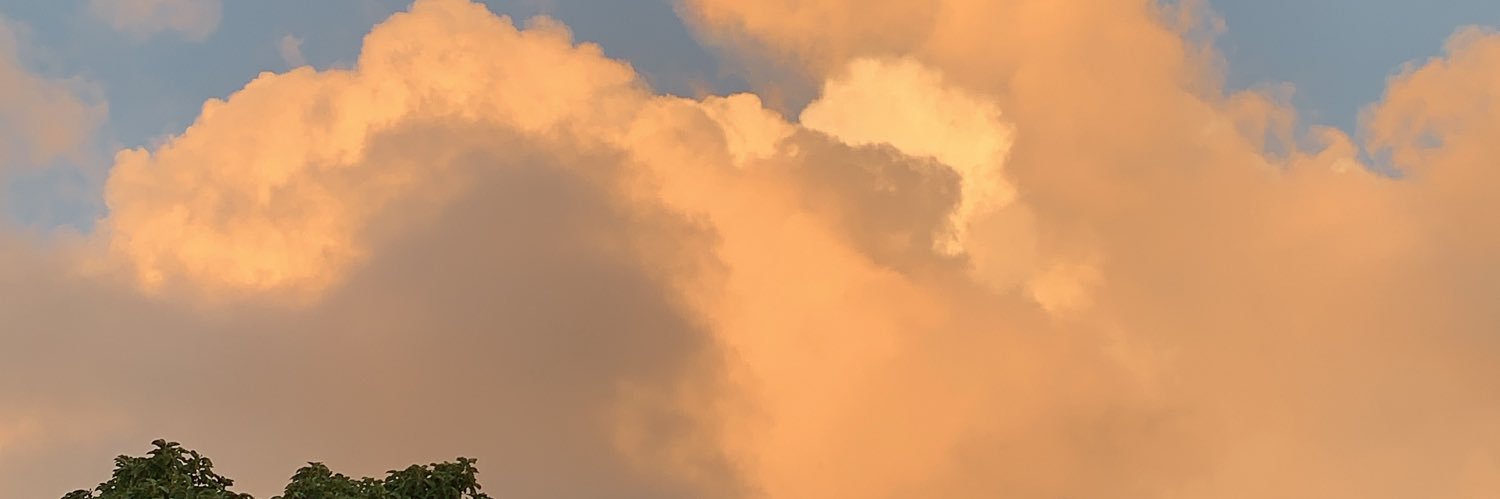 maddycallaway's profile banner image