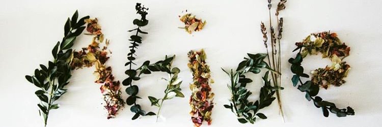 vanakensara's profile banner image