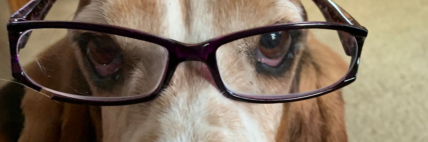 SnickNick's profile banner image