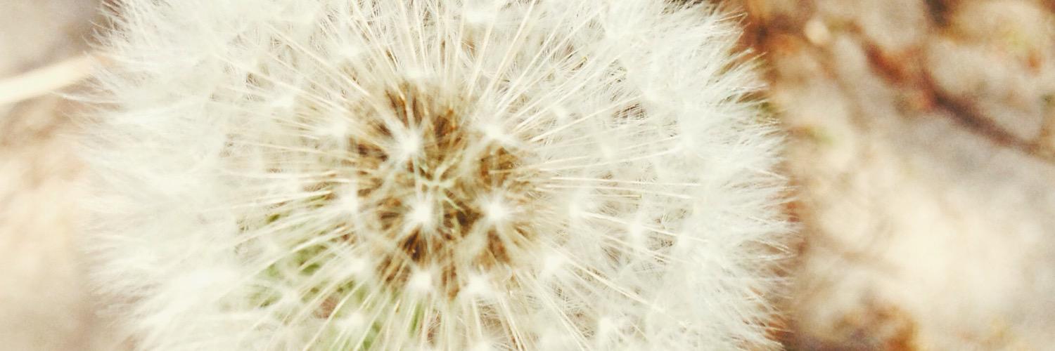 s_ochowicz's profile banner image
