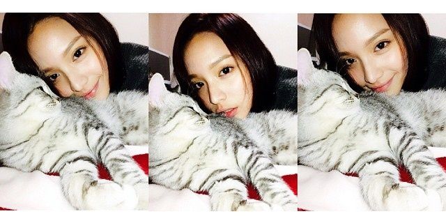 95seonah's profile banner image