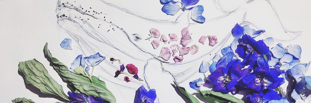 DianaClopa's profile banner image