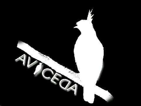 AVICEDA BALI  banner