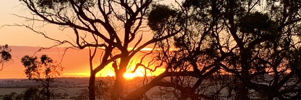 Lesley West Profile Banner