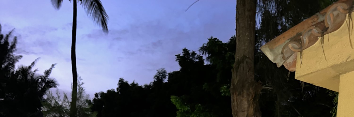 ItamaraSemedo's profile banner image