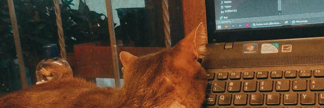 1092Janis's profile banner image