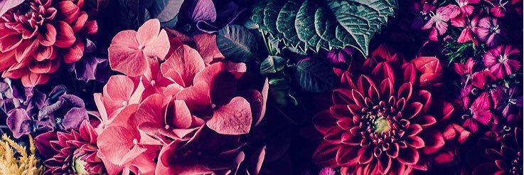 HannahCochran9's profile banner image
