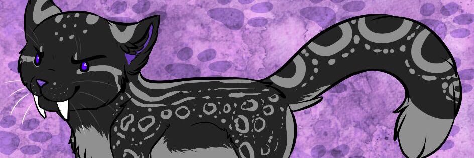 HypeKitty 🔜 ANE26💜 banner