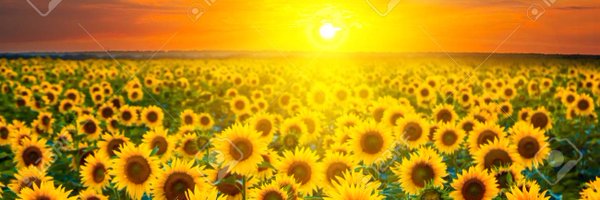 deetee128 Profile Banner