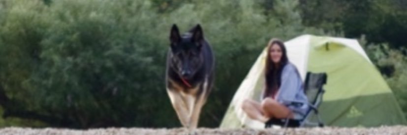 Hannerbannerrr's profile banner image