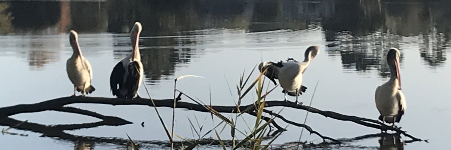 GerardCallinan's profile banner image