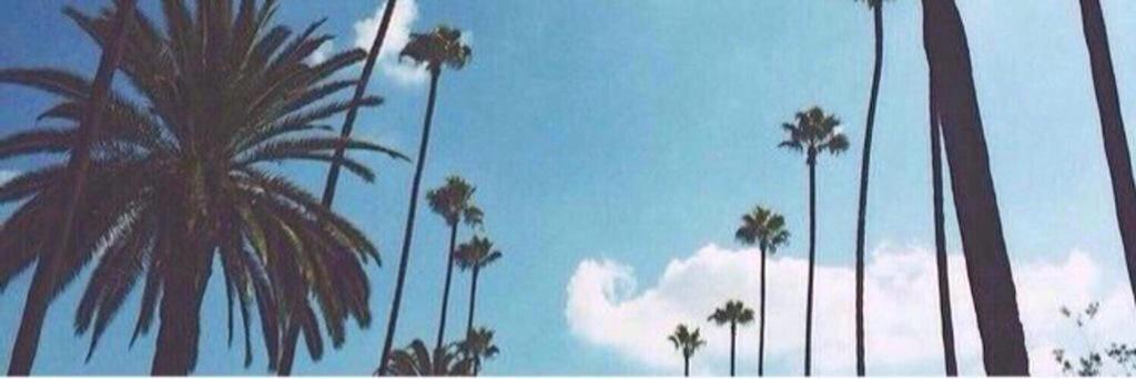 paulaavelez23's profile banner image