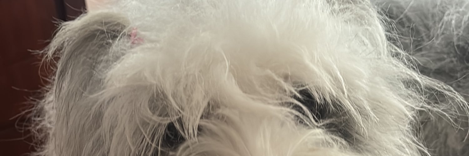 alfoonsinaaa's profile banner image