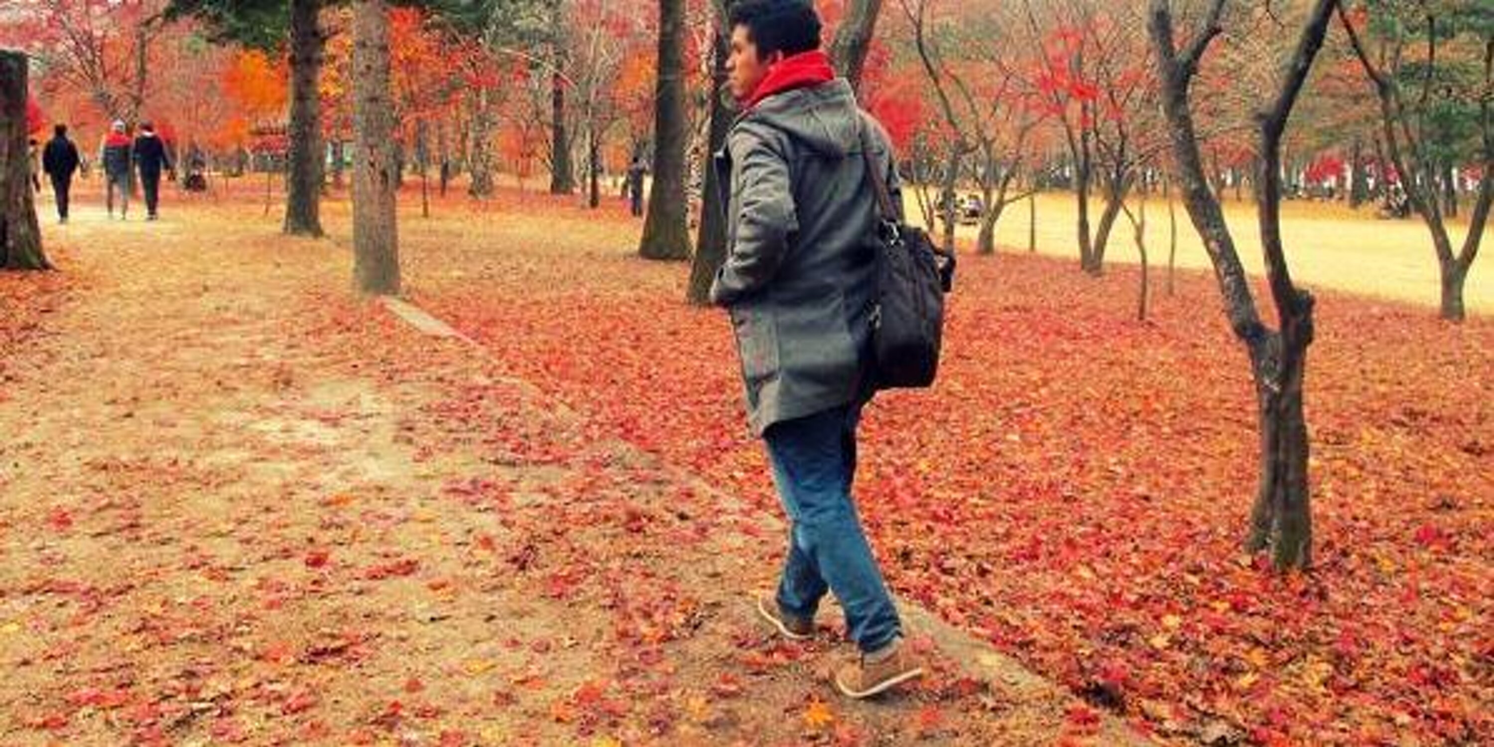 alghffr_'s profile banner image