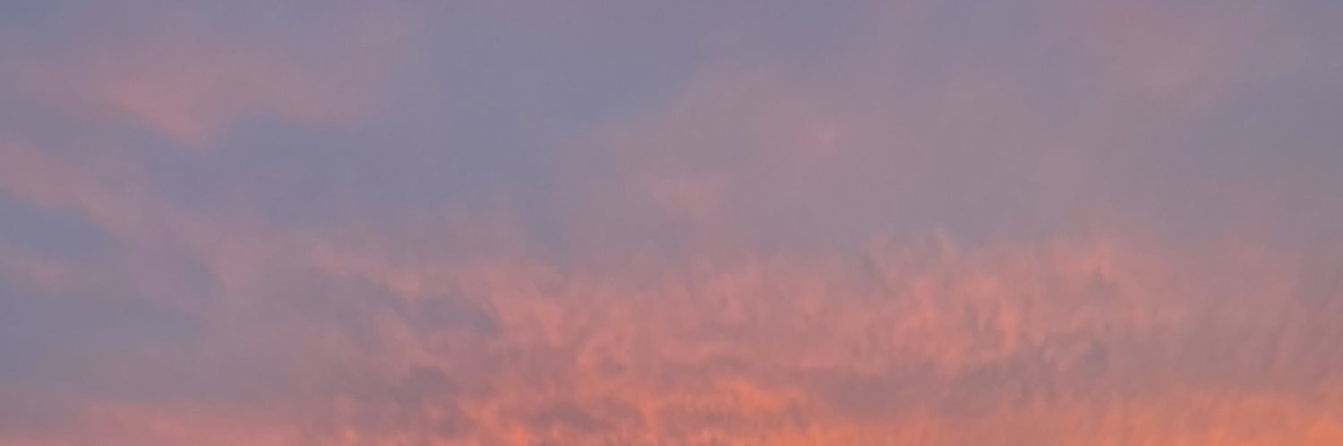 sjkonkowski's profile banner image