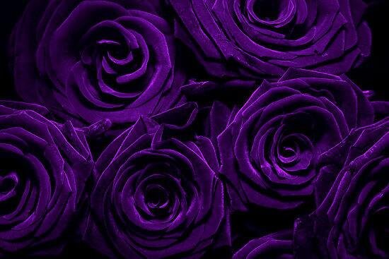 AliCat3260's profile banner image