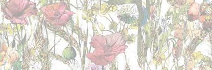 yuriii914's profile banner image