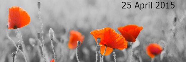 fibrenews's profile banner image