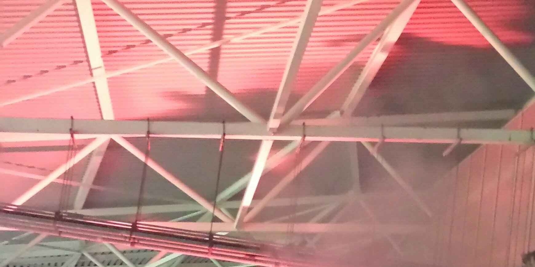 Alkmaar Fanatics banner