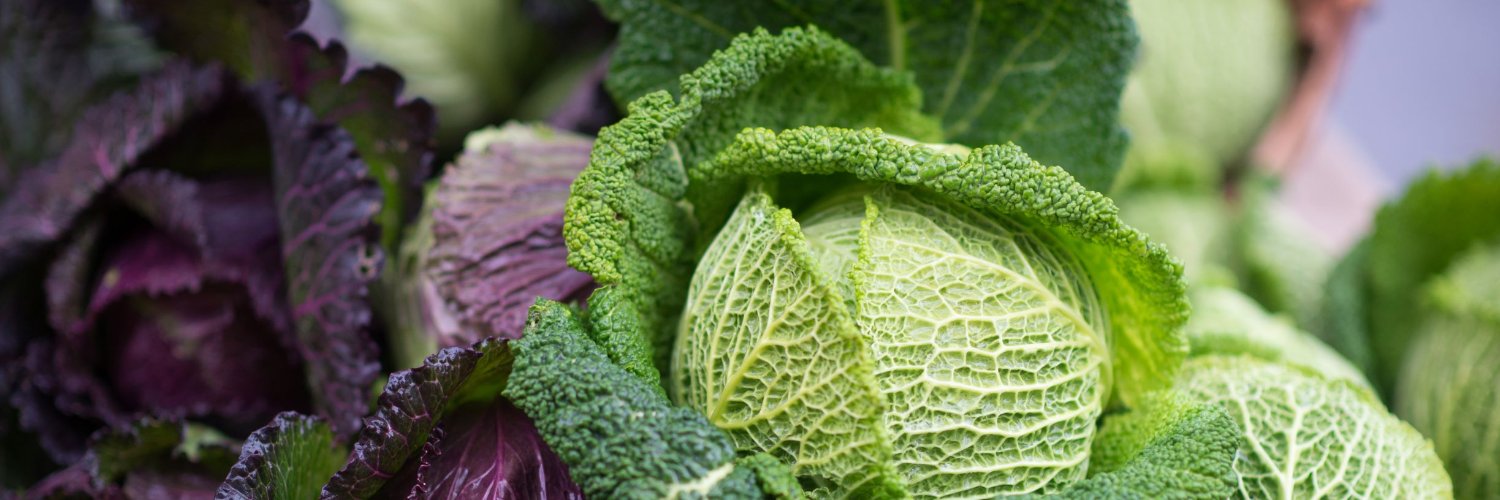 portlandfarmers's profile banner image
