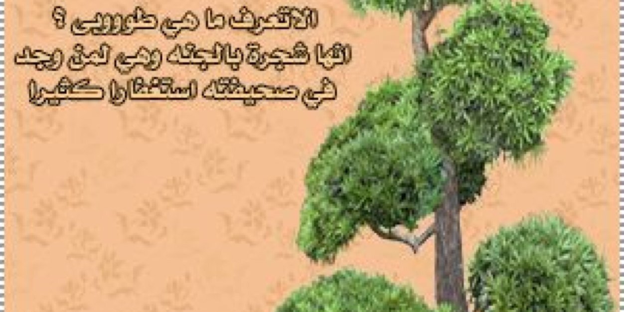 faiza4s's profile banner image