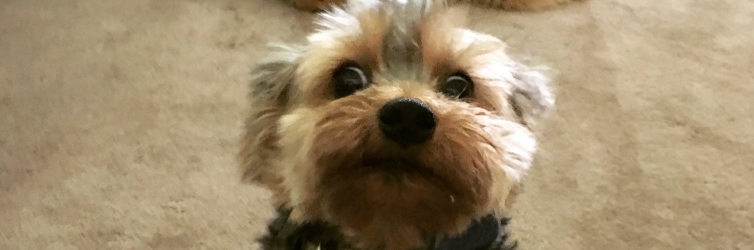 catbaray's profile banner image