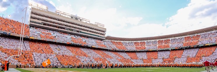 graylarose00's profile banner image