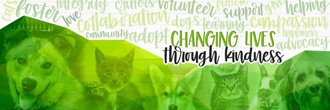 AARCS - Rescue 🐾 banner