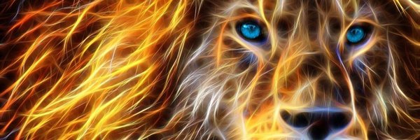 Venenoaldo's profile banner image