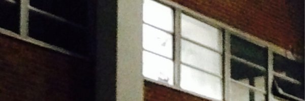 bradleylab Profile Banner