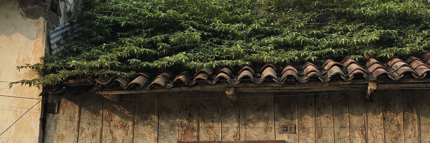 rodioblanco's profile banner image