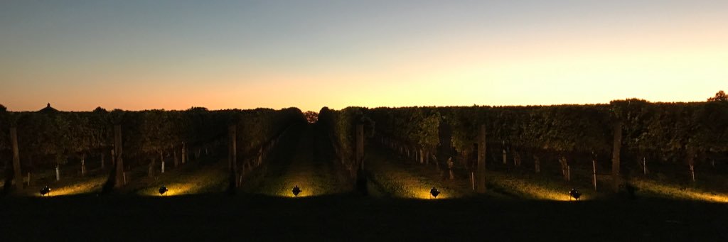 tmcculley71's profile banner image