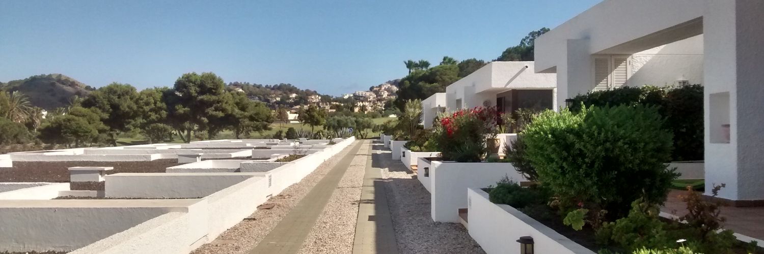 Rebecca Edwards 💙 banner