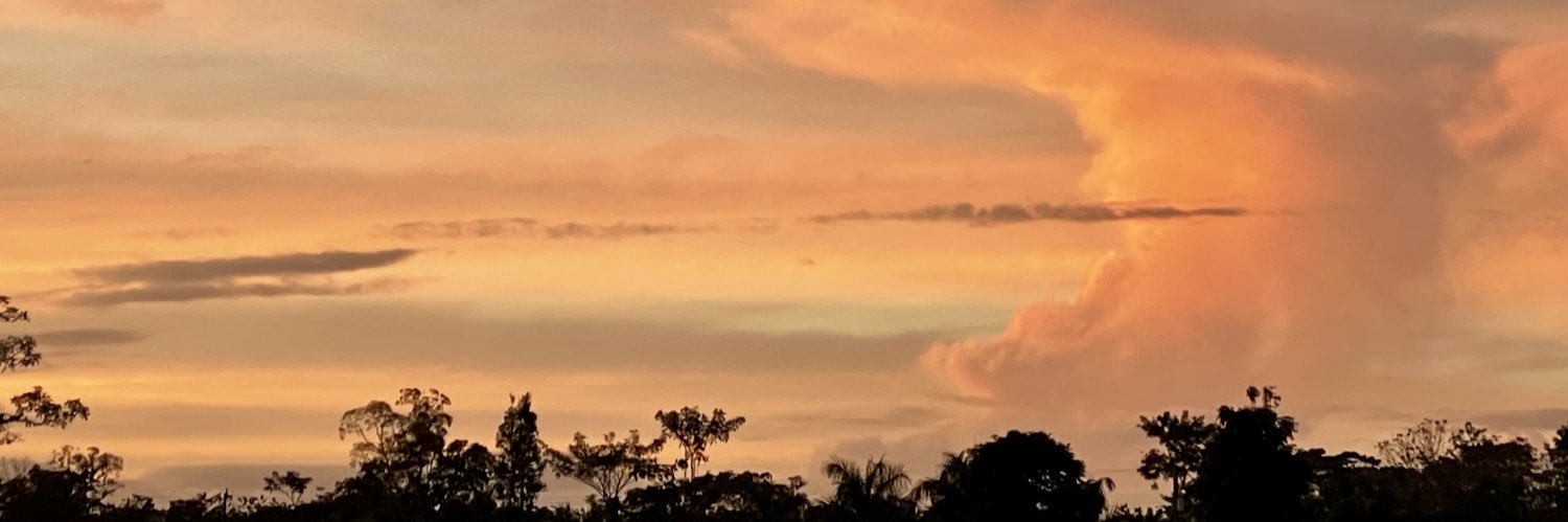 obustos24's profile banner image