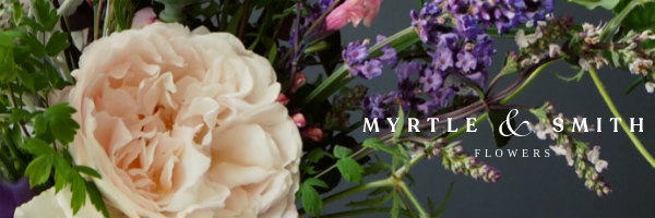 Sarah Lindsey banner