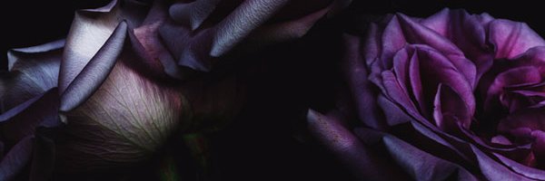 Gabi_doimo's profile banner image
