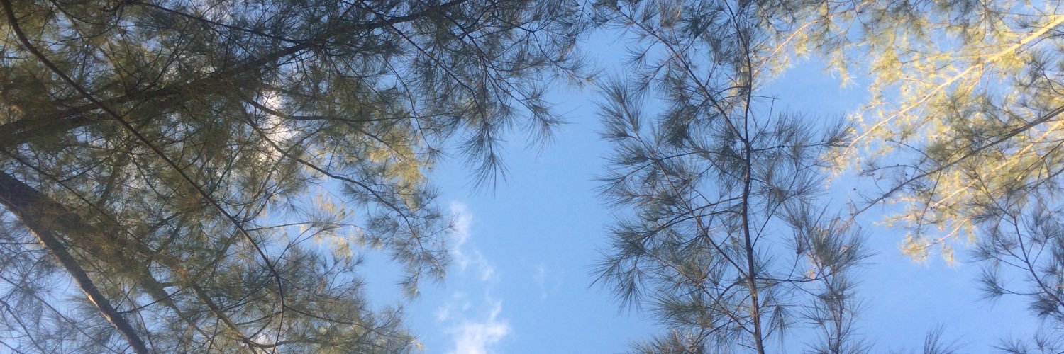 mbthomasrd's profile banner image