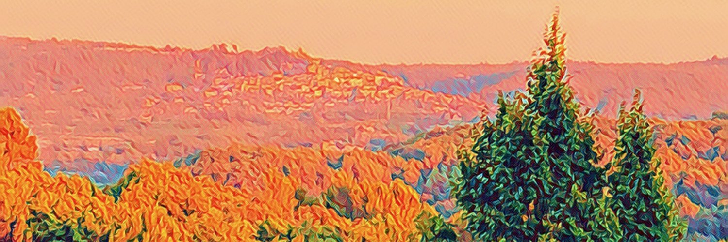 Isabela Granic banner