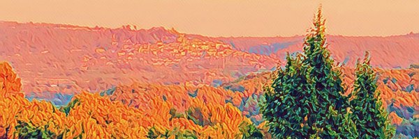 PlayNiceInst Profile Banner