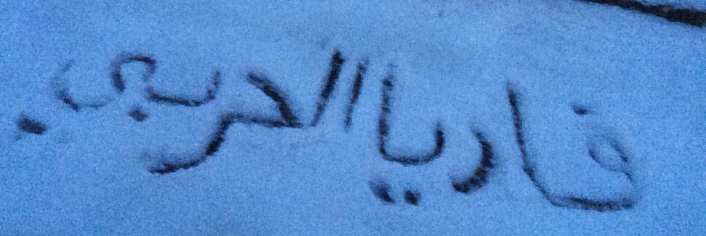 Fadia_Alharbi's profile banner image