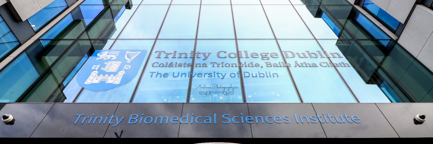 Andreea Petrasca, PhD banner