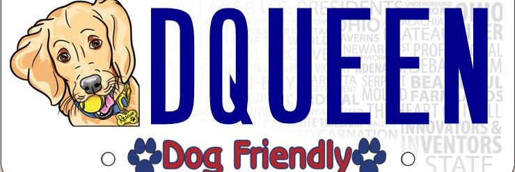 DOGE Drama Queen 💙 banner