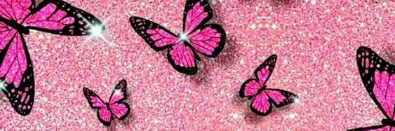 Harleeparkmeet's profile banner image