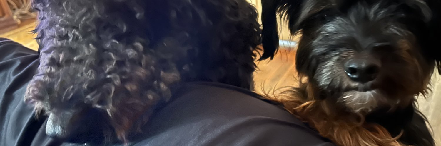 Sean banner